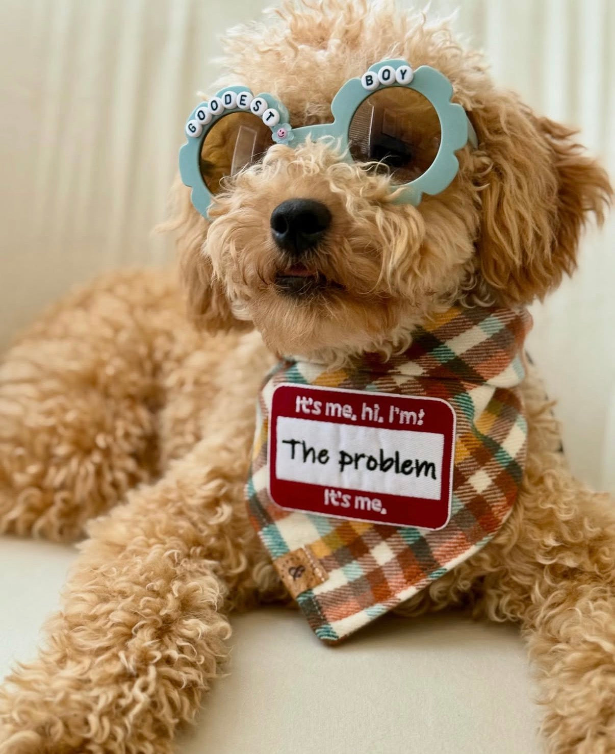 Goodest Boy