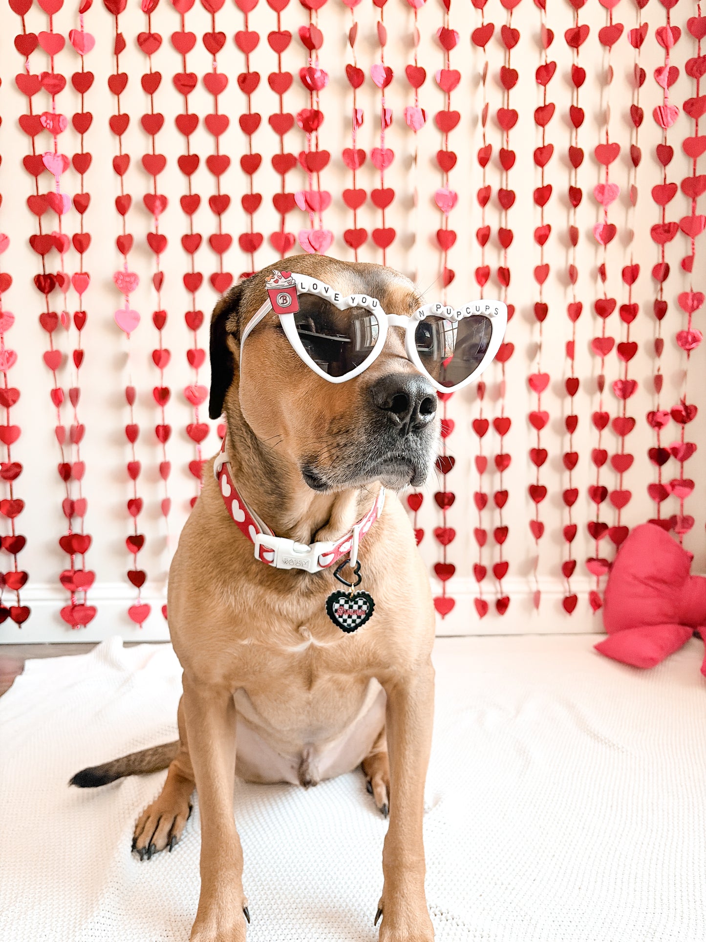 Love You N’ Pupcups