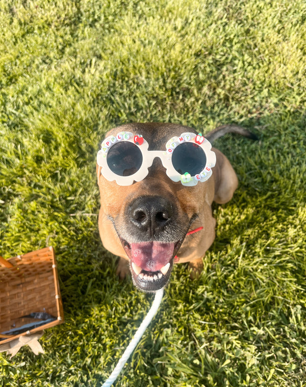Bark 2 School
