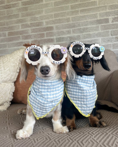 Customizable Sunnies ✨