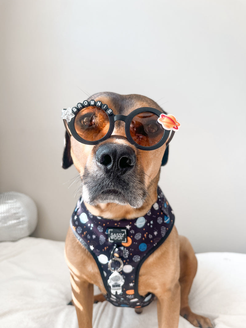 Customizable Sunnies ✨