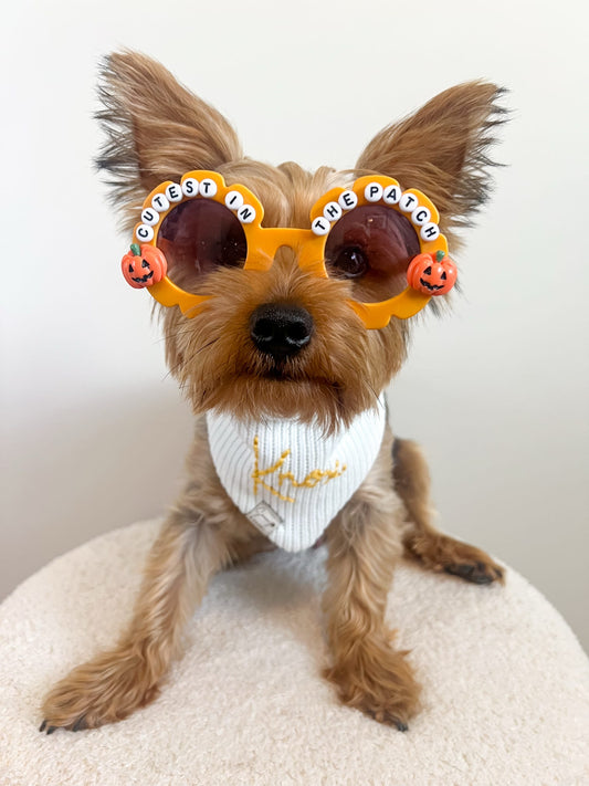 Custom Halloween Sunnies