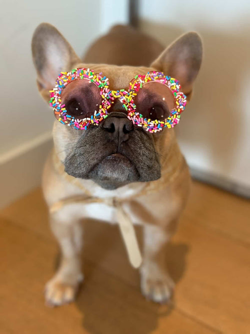 A Sprinkle Of Summer