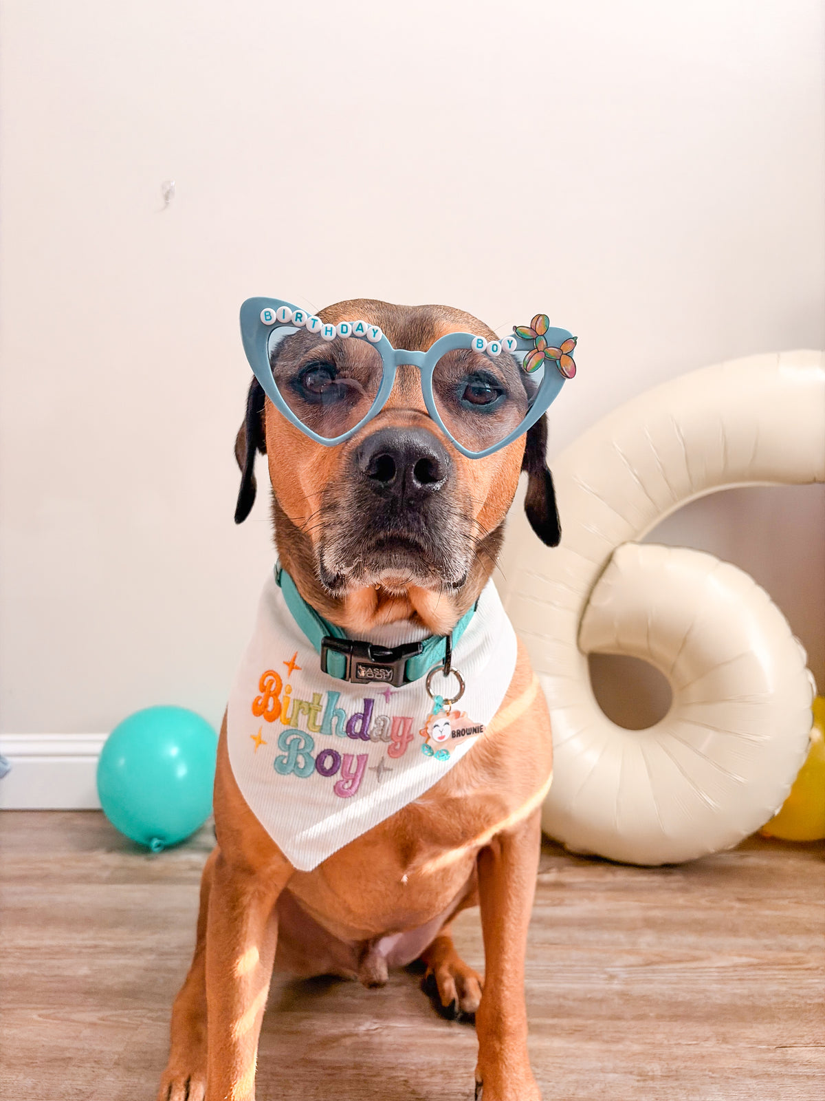 Birthday Boy / Girl
