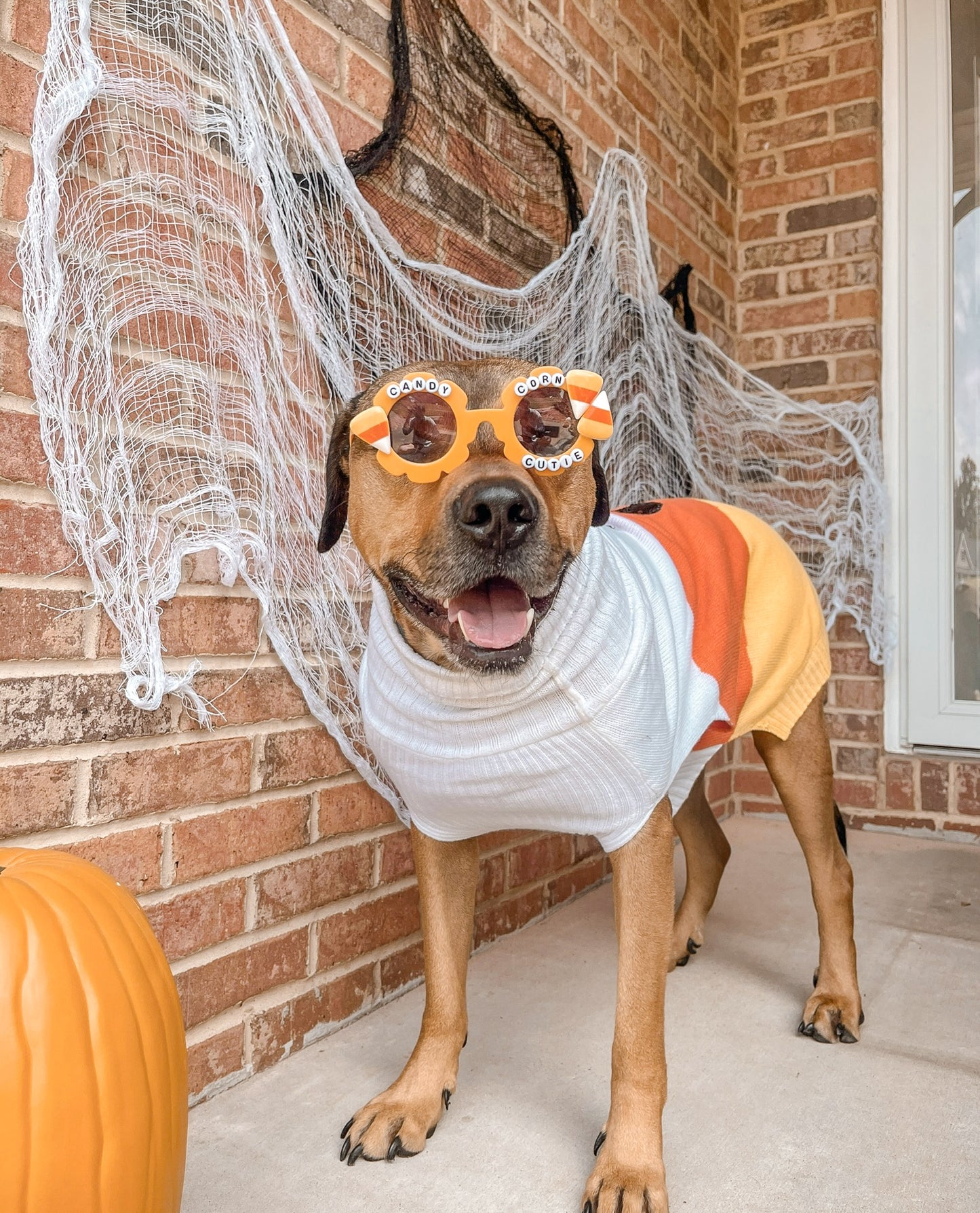 Candy Corn Cutie