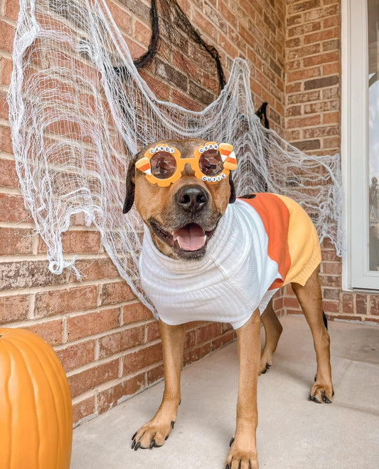 Candy Corn Cutie