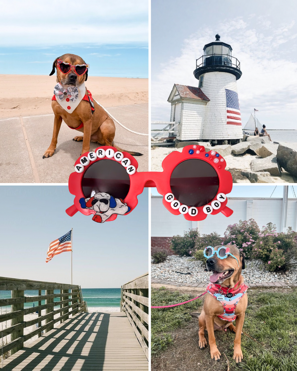 American Good Boy / Girl