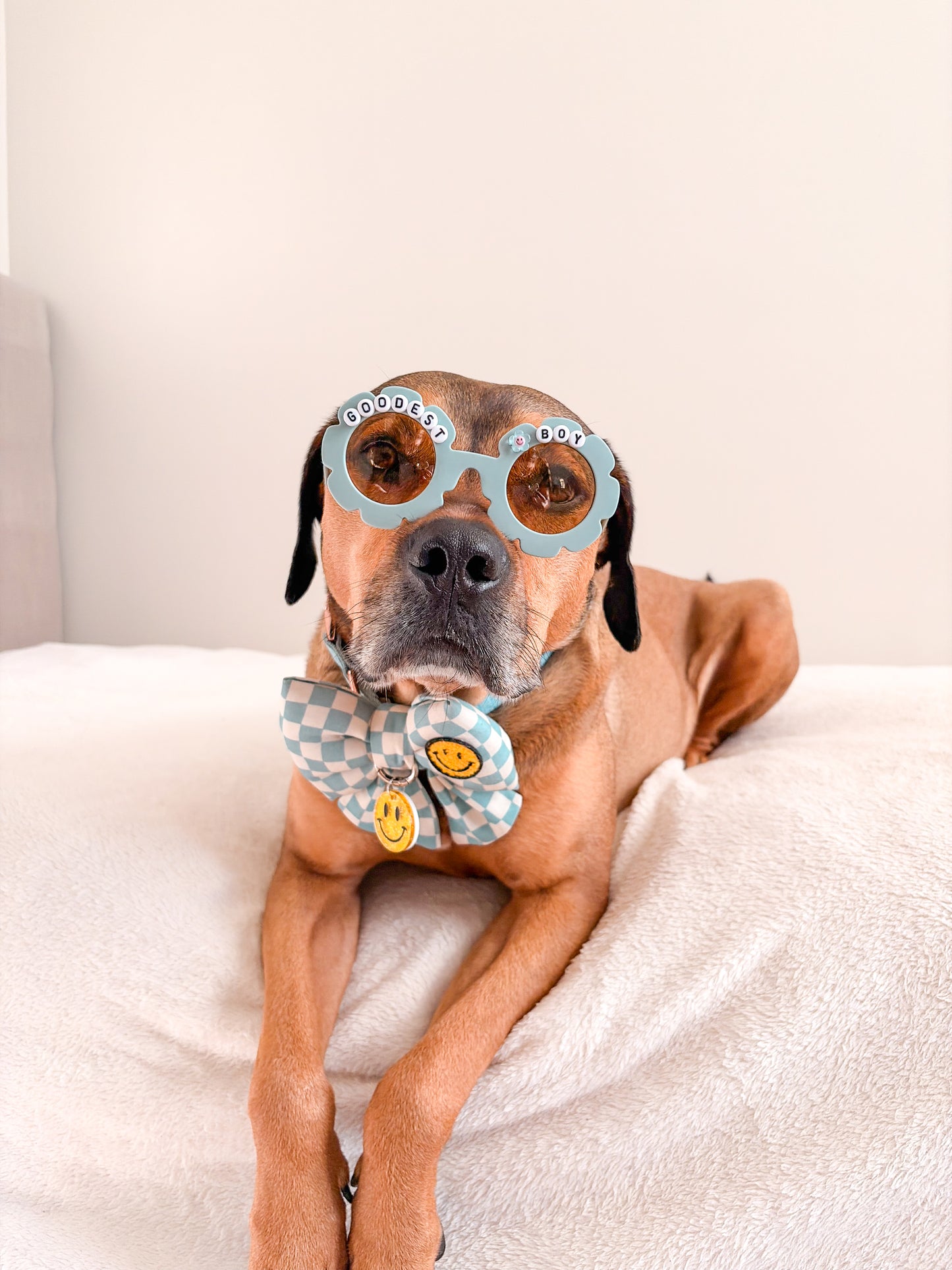 Goodest Boy