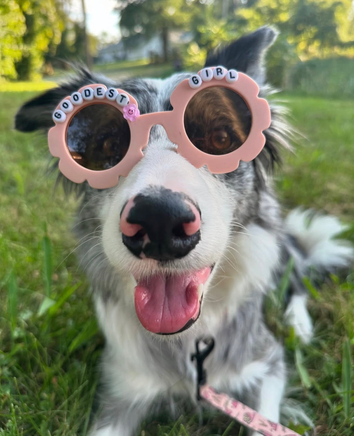 Goodest Girl