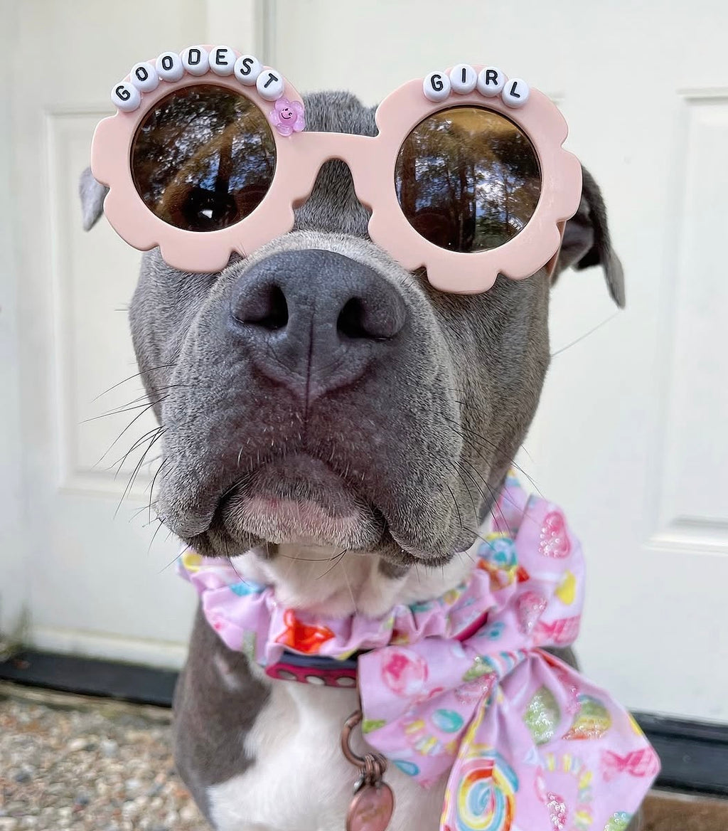 Goodest Girl