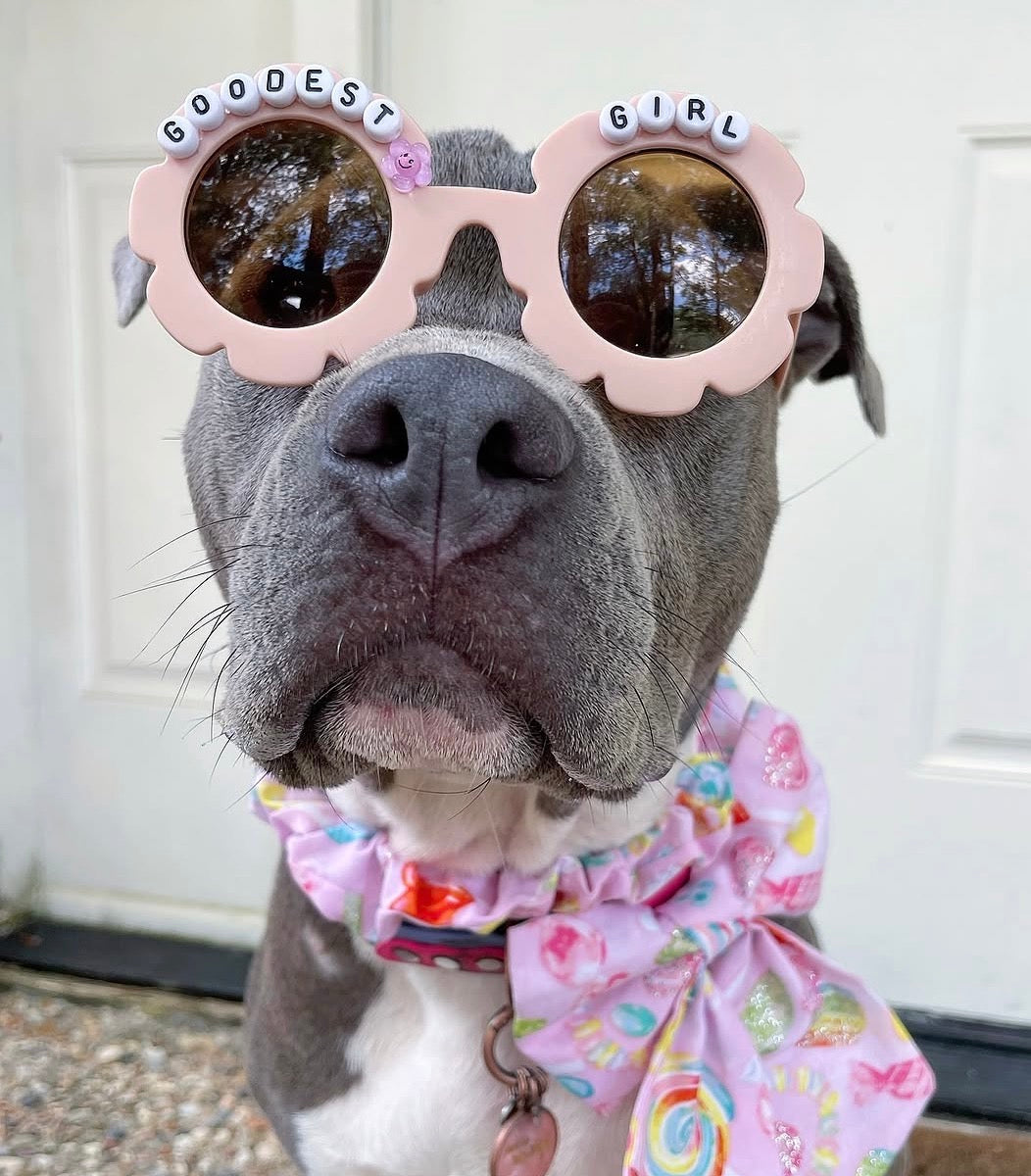 Goodest Girl