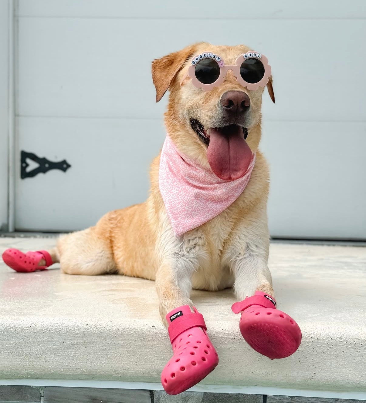 Goodest Girl