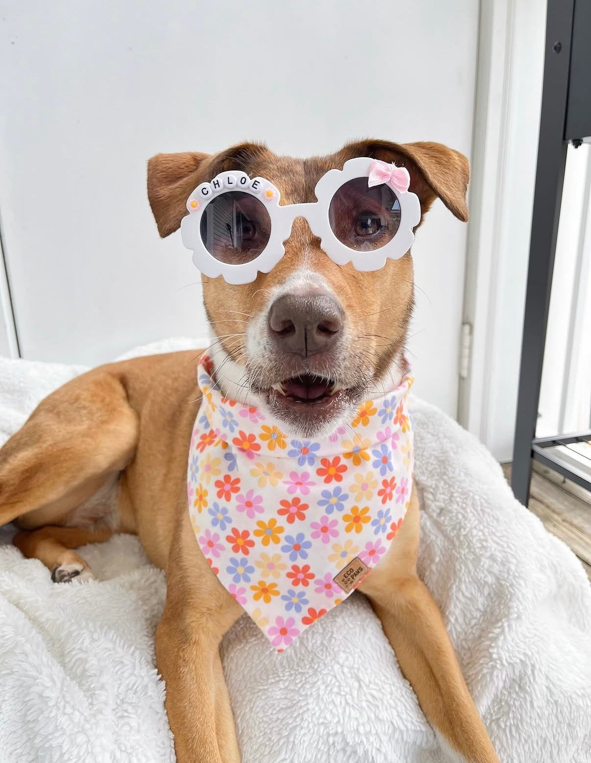 Bowtiful Name Sunnies