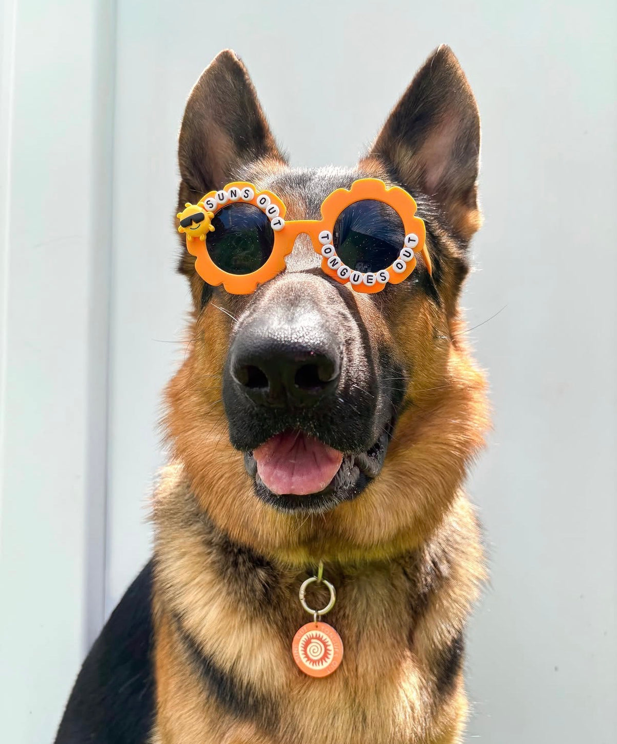 Suns Out Tongues Out