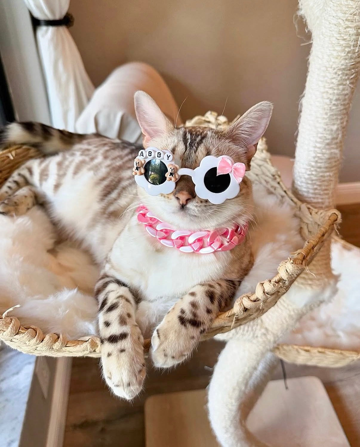 Mini Custom Sunnies