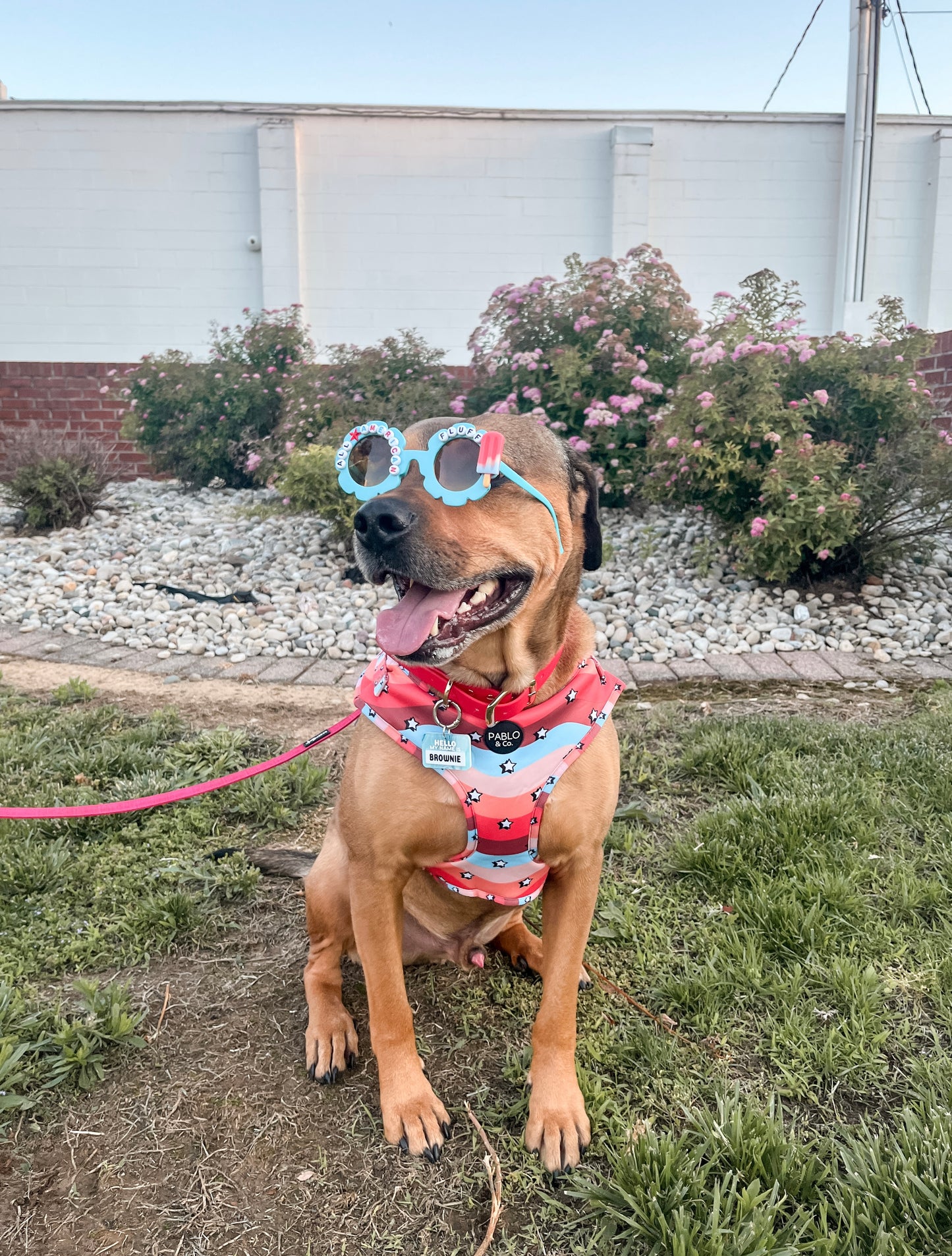 Custom Spring/Summer Sunnies