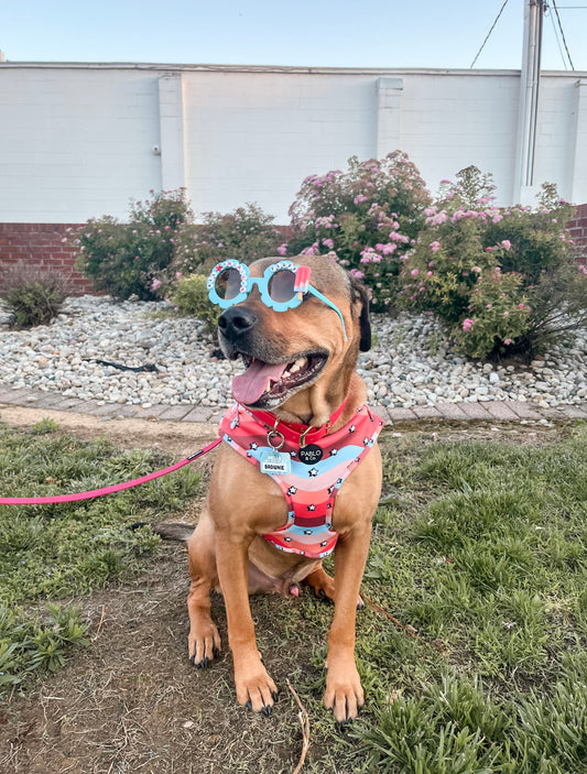 Custom Spring/Summer Sunnies